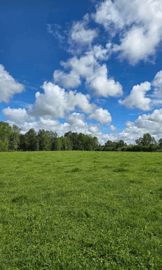 diseño sin título (27)