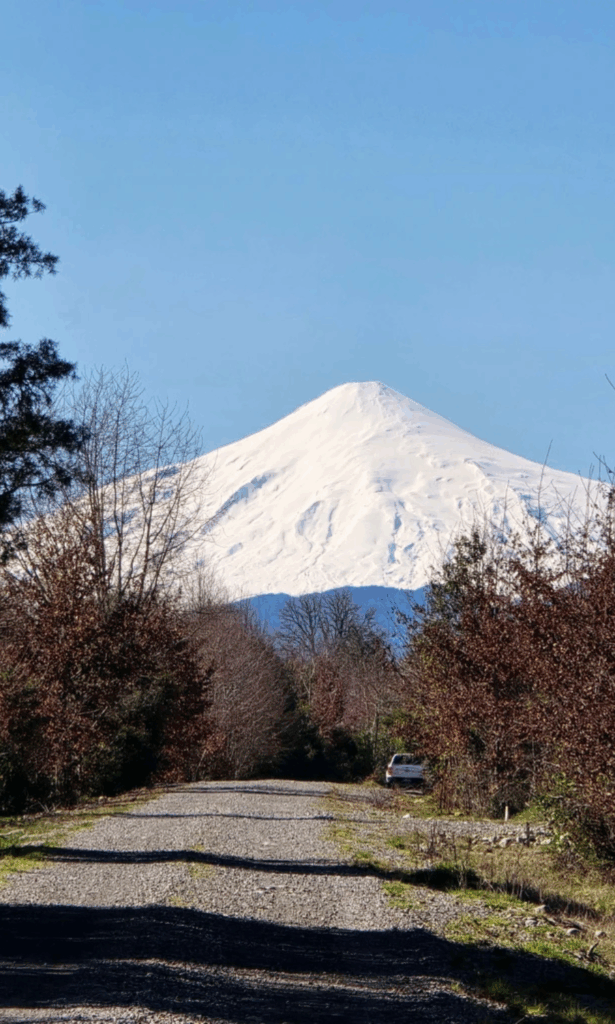 diseño sin título (29)