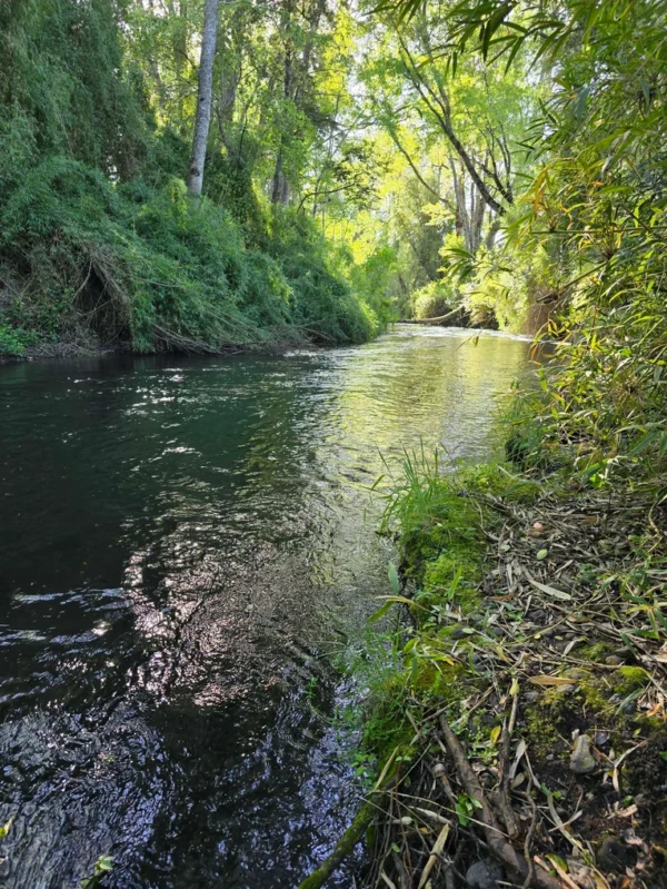 refugio el volcán villarrica