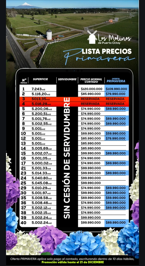 los molinos puerto octay