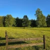 la comarca a solo 10 km de villarrica desde $39.990.000
