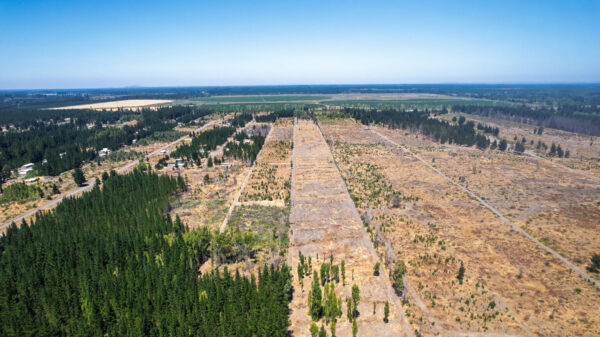 fundo del itata Últimas 2 parcelas