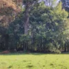 parcelas en relún a 15 km de villarrica