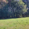 parcelas en relún a 15 km de villarrica