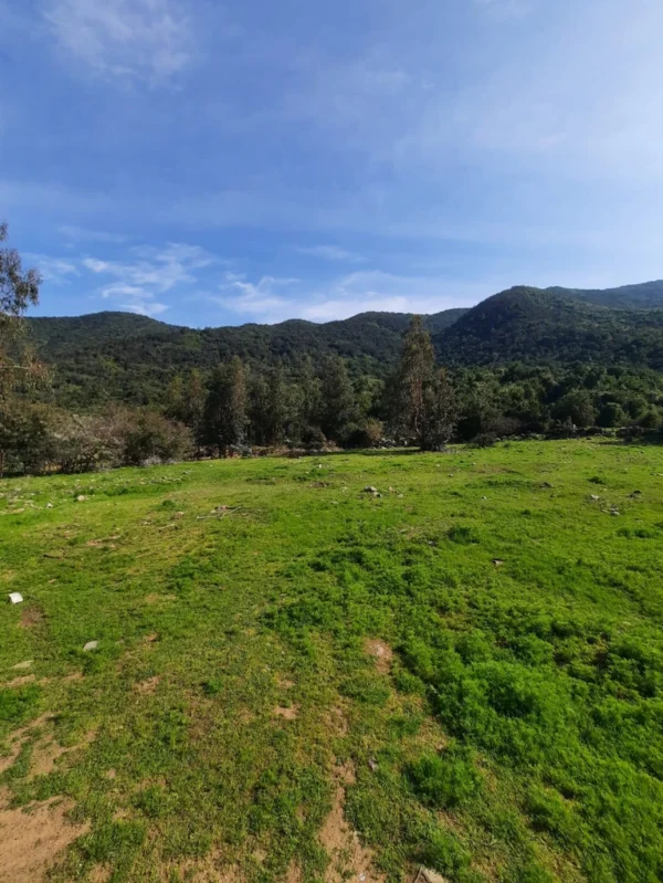 los molinos puerto octay (copia)