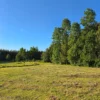 la comarca a solo 10 km de villarrica desde $39.990.000