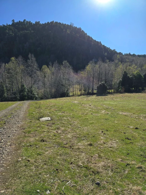 parcelas pino huacho lican ray