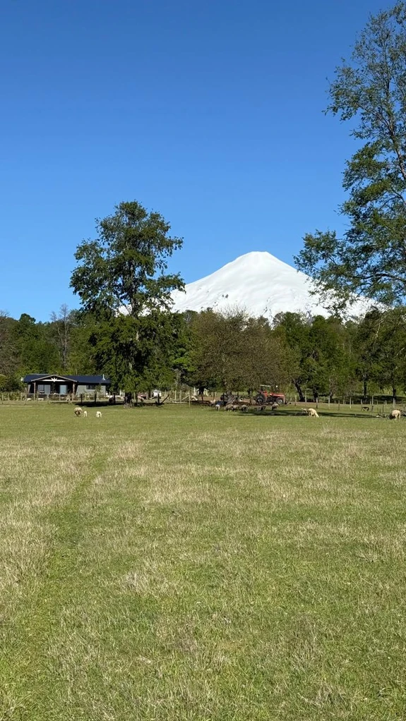 cumbres de pucón $29.990.000