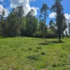 fundo ancahual villarrica loncoche fundo ancahual villarrica loncoche