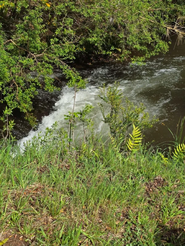 rinconada a solo 15 min de villarrica