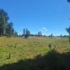 a solo 15 min de villarrica $38.000.000 crédito directo