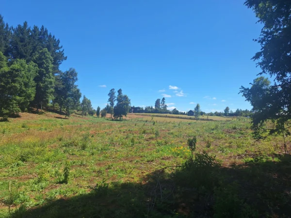 a solo 15 min de villarrica $38.000.000 crédito directo