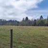 a 20 min de villarrica parcelas con luz, agua y cercadas a 20 min de villarrica parcelas con luz, agua y cercadas