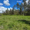 fundo ancahual villarrica loncoche fundo ancahual villarrica loncoche