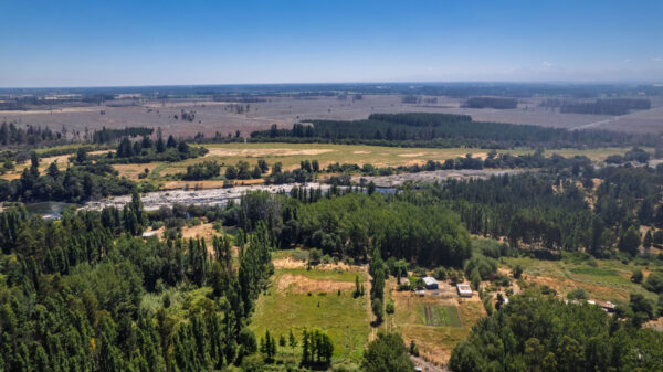 fundo del itata Últimas 2 parcelas