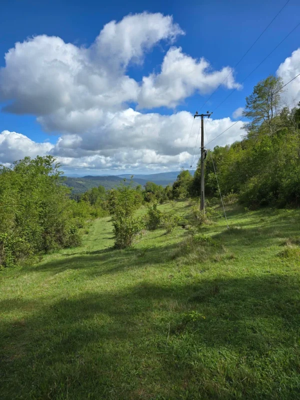 a 20 min de licanray parcelas de 1 hectárea con estero