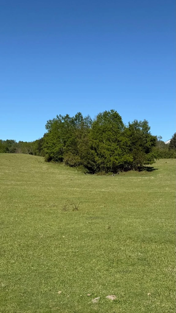 cumbres de pucón $29.990.000