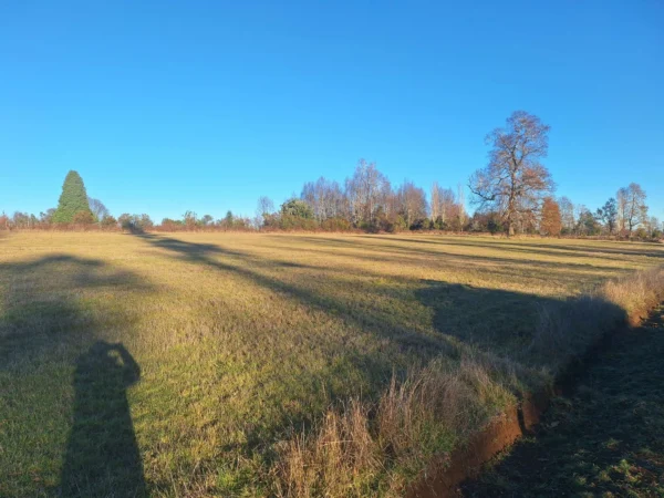 séptima faja hermosas parcelas a 20 min de villarrica desde $28.000.000