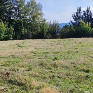 parcelas en relún a 15 km de villarrica