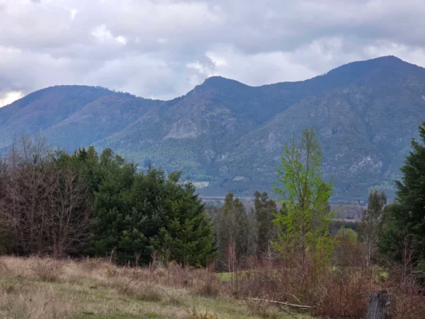 parcelas ruta cunco melipeuco