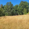 parque nativo sector huaqui $30.000.000 opción de crédito directo parque nativo sector huaqui $30.000.000 opción de crédito directo