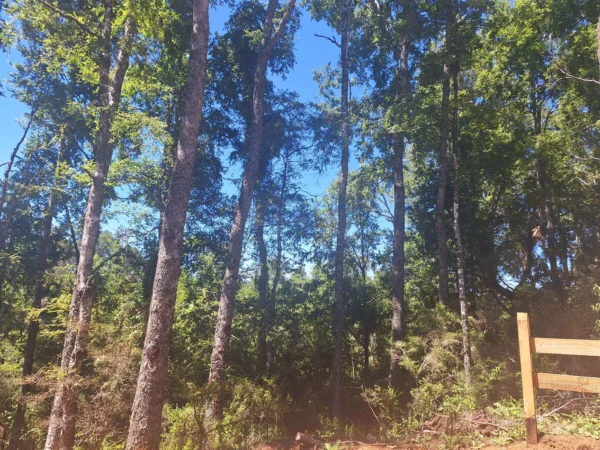 a solo 15 min de villarrica $38.000.000 crédito directo