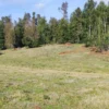 parcelas en relún a 15 km de villarrica