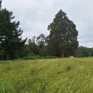 aires de paillaco $23.990.000