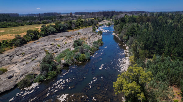 Fundo del Itata ÚLTIMAS 2 PARCELAS fundo del itata Últimas 2 parcelas