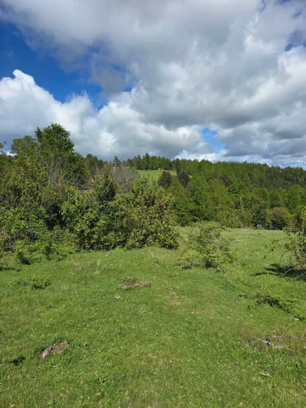 a 20 min de licanray parcelas de 1 hectárea con estero
