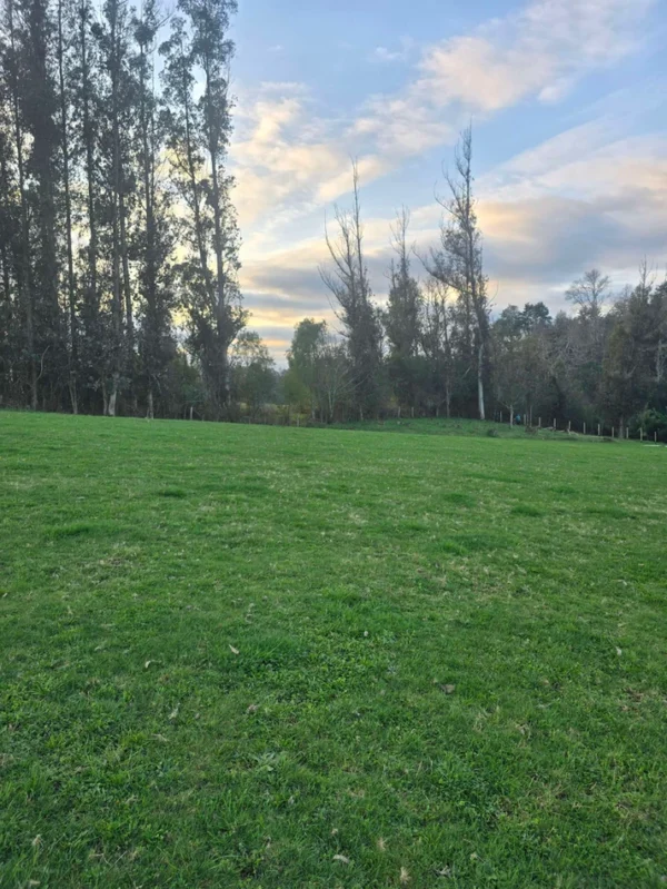 rinconada a solo 15 min de villarrica