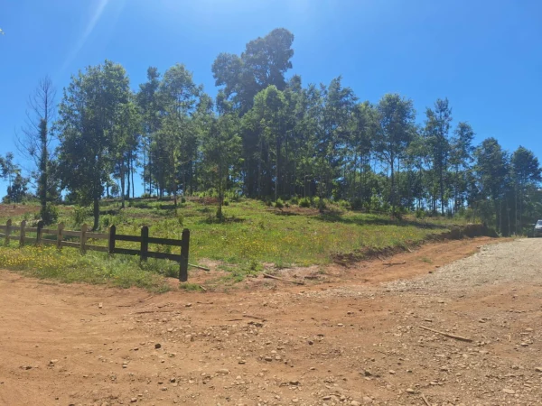 a solo 15 min de villarrica $38.000.000 crédito directo