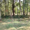 parcelas en relún a 15 km de villarrica
