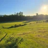la comarca a solo 10 km de villarrica desde $39.990.000