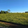 la comarca a solo 10 km de villarrica desde $39.990.000