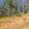 parque nativo sector huaqui $30.000.000 opción de crédito directo parque nativo sector huaqui $30.000.000 opción de crédito directo