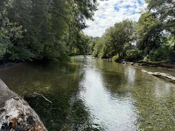 coihueco riverside puerto octay