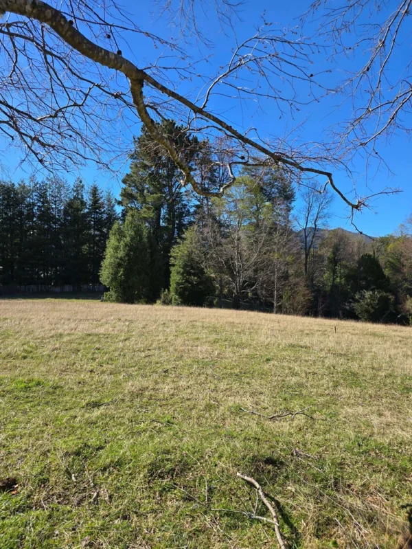 parcelas pino huacho lican ray