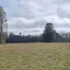 a 20 min de villarrica parcelas con luz, agua y cercadas a 20 min de villarrica parcelas con luz, agua y cercadas