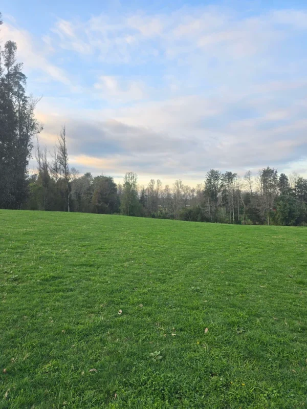 rinconada a solo 15 min de villarrica