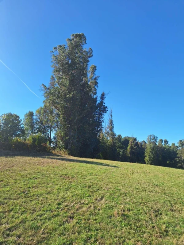 rinconada a solo 15 min de villarrica