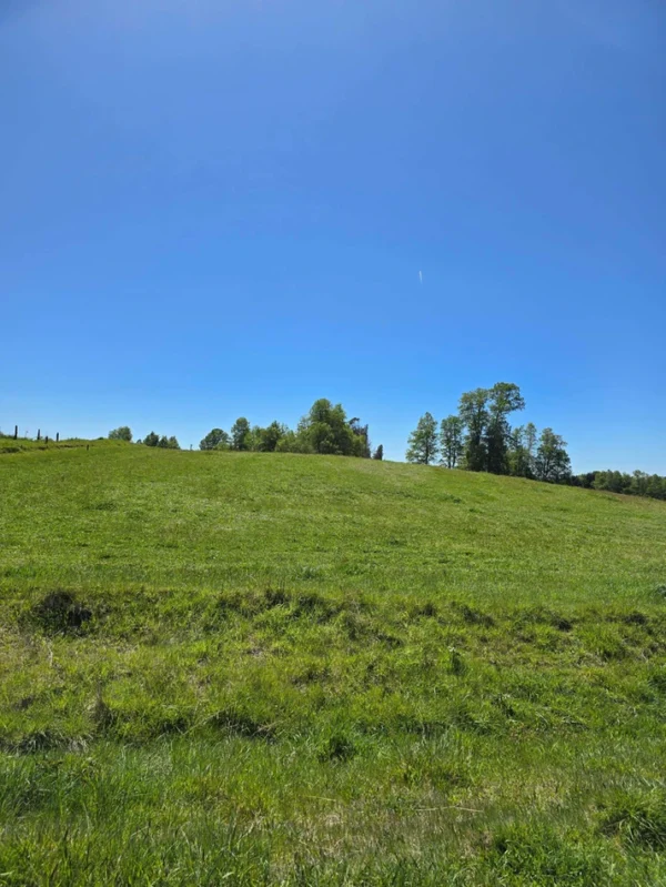 rinconada a solo 15 min de villarrica