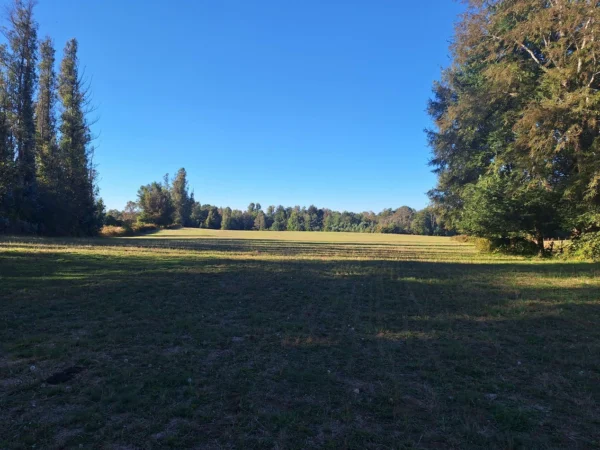 rinconada a solo 15 min de villarrica