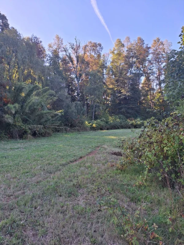 rinconada a solo 15 min de villarrica