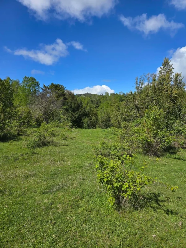 a 20 min de licanray parcelas de 1 hectárea con estero