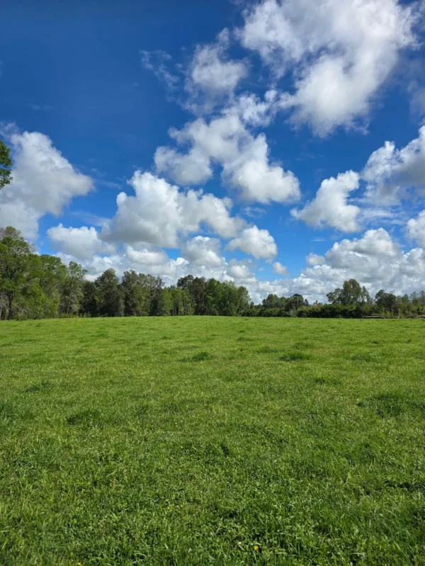 rinconada a solo 15 min de villarrica