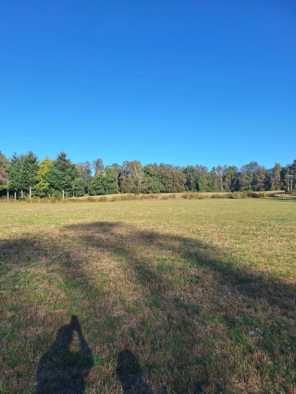 rinconada a solo 15 min de villarrica