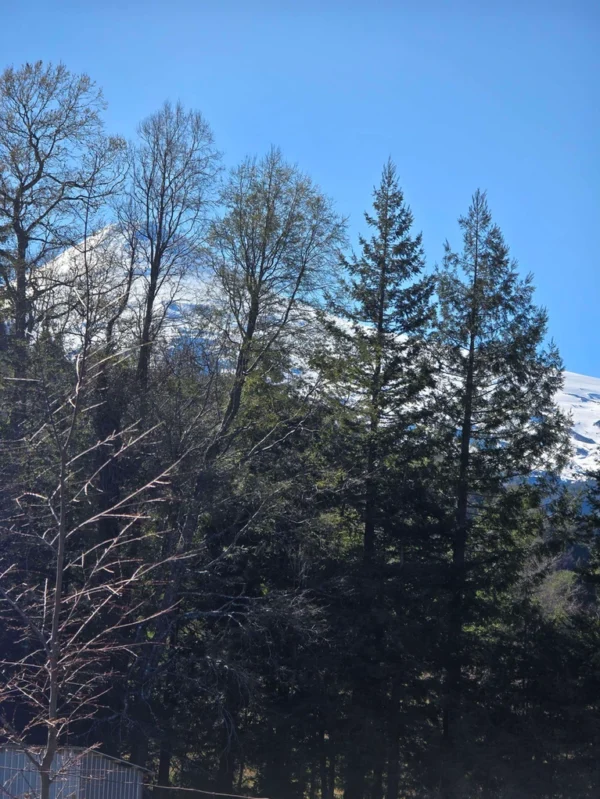 parcelas pino huacho lican ray