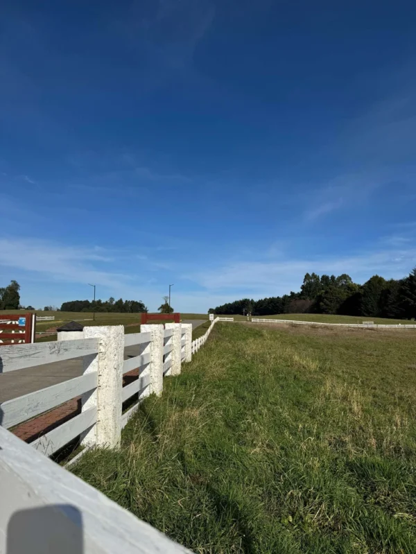 los molinos puerto octay