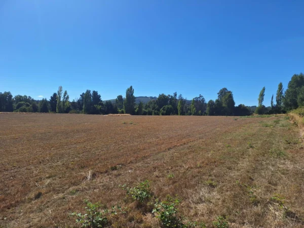 séptima faja hermosas parcelas a 20 min de villarrica desde $28.000.000